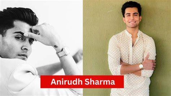Anirudh Sharma Height, Weight, Net Worth, Age, Wiki, Who, Instagram, Biography