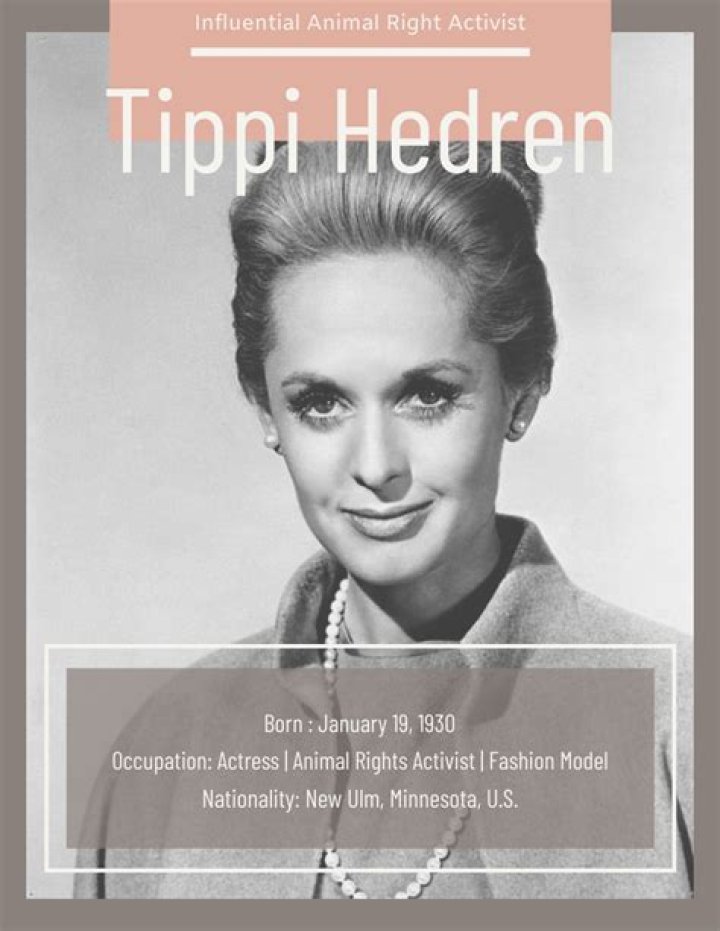 Is Tippi Hedren Still Alive? Know Tippi Hedren Biography And Net Worth