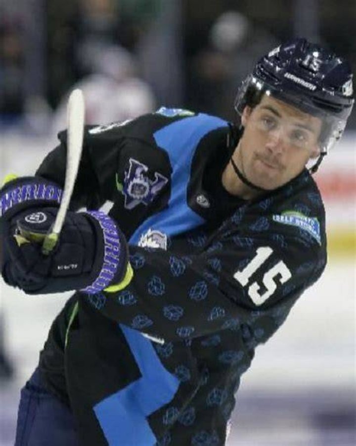 
Jacob Panetta Racist Gesture Against Jordan Subban – What Did He Say? 