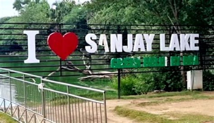 
Sanjay Lake returns to life, becomes magnet for tourists and migratory birds 