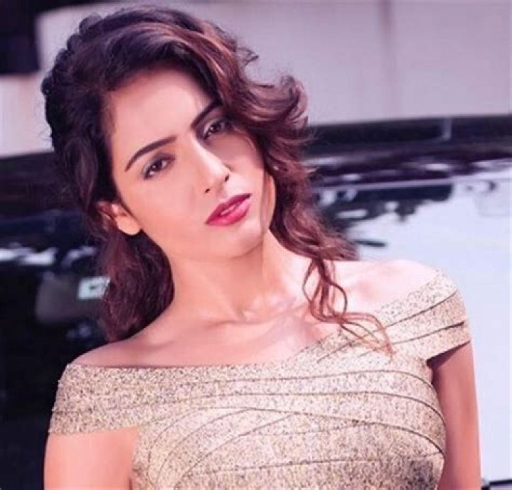 
Shirya Agarwal Height, Weight, Net Worth, Age, Birthday, Wikipedia, Who, Nationality, Biography 