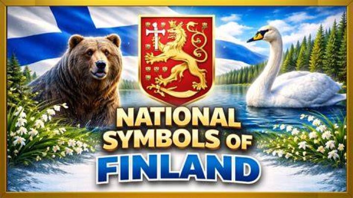 
Suomen Sisu Symbol Meaning Explained, Highland Park Shooter Used A Similar Symbols In His Videos 