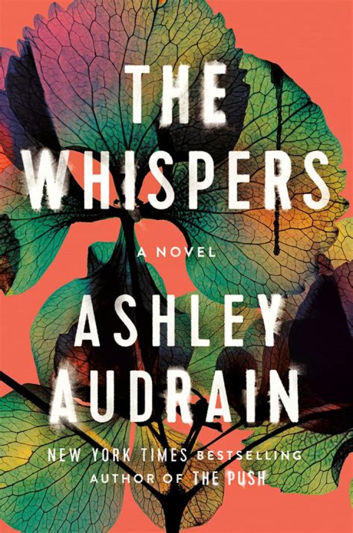 
Susannah George Height, Weight, Net Worth, Age, Birthday, Wikipedia, Who, Nationality, Biography 