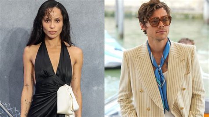 What Happened Between Alexander Wang and Zoe Kravitz? Allegations and Updates
