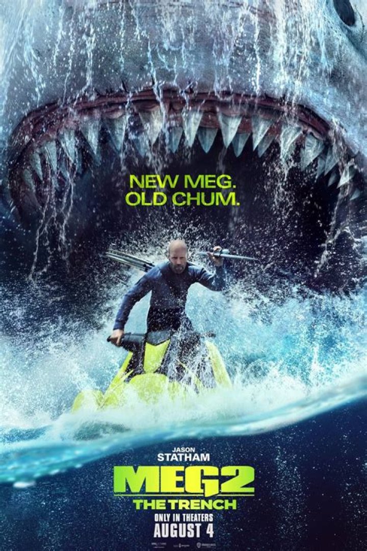 What Happened to Meiyings Mom in Meg 2? Who Played Suyin Character in Meg?
