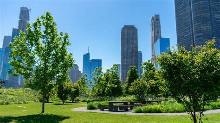
What Happened To Sania Khan In Chicago Streeterville Shooting? Wedding Photographer Death Rumors 