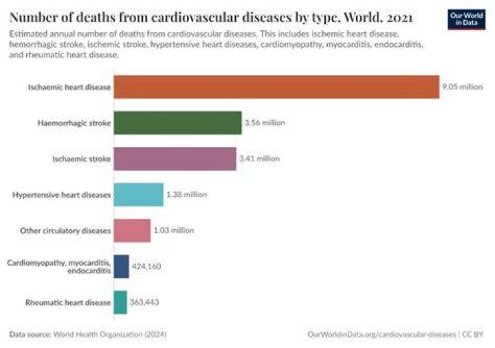 
WHO calls for united effort to reduce premature mortality from cardiovascular diseases 