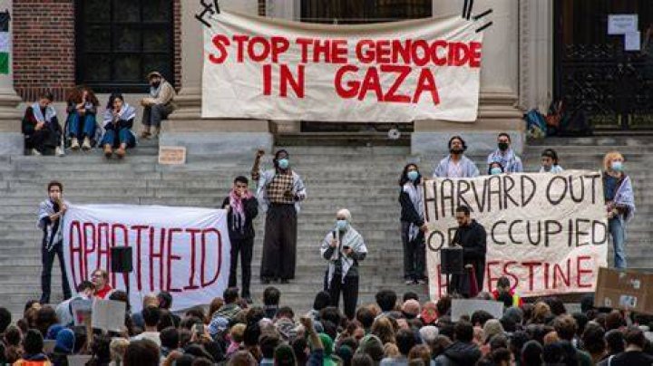 Who is Bailey Quinn? UConn resident slammed for supporting Hamas and accusing Israel of genocide