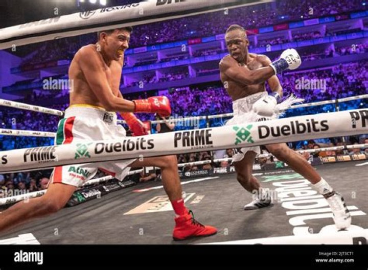 Who is Luis Alcaraz Pineda? Career & Boxing Record, Training footage Revealed