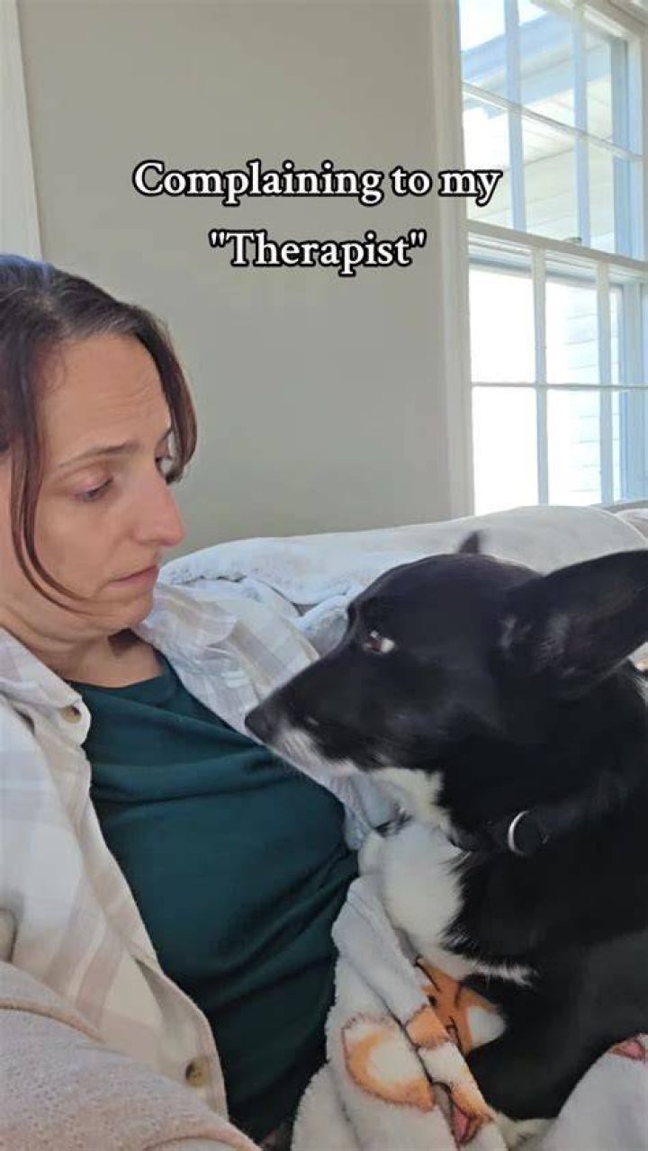 Who Killed Mommy Farmer’s Dog, Corgi Boone?